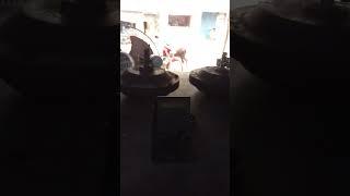 technical Manoj motor winding ceiling