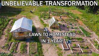 One Year Transformation: Turning Raw Land Into THRIVING Homestead