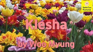 Master Woo Myung - How to Have Relaxation - Klesha | Santa Clara Meditation