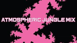 Atmospheric Jungle DJ Mix 022: Emotive Drum & Bass Odyssey with Fractal Visuals