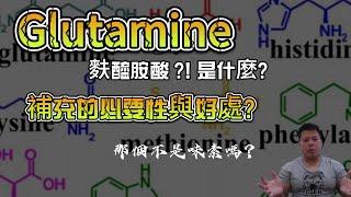 Glutamine 麩醯胺酸補充在健身族群中的意義