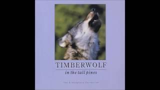 Various Artists ‎– TIMBERWOLF in the tall pines