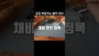 고수채비알려드립니다