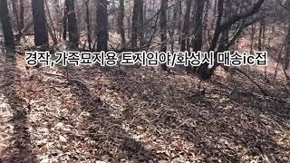 경작,가족묘지용 작은 면적 토지임야입니다/화성시 매송면 매송ic접