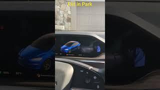 Easiest way for Tesla to engage in park #tesla