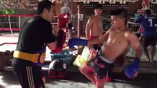 Kicking work pad young fighter