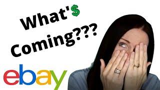 Ebay Managed Payments (How it effects the Ebay Seller ?)