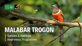 Malabar Trogon - Species & Habitats Awareness Programme | The Habitats Trust Films