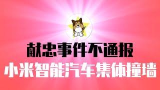 献忠消息不通报了，中国公安开始严打行动！自动撞墙，小米汽车突发大面积智障，电影场景已成现实！开中国国产智能电车的注意了｜献忠｜习近平｜小米汽车SU7｜中国新能源汽车