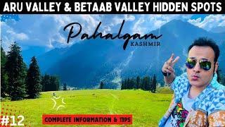 Aru Valley | Betaab Valley | Places to visit in Pahalgam | Kashmir trip during September