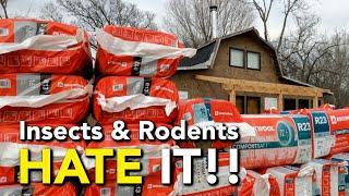 Installing Interior ROCKWOOL Comfortbatt Insulation | Abandoned Shed to Tiny House