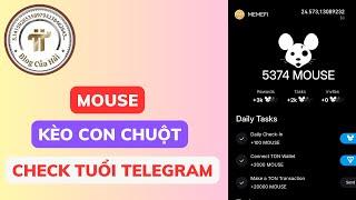 Kèo Con Chuột - Hướng Dẫn Tham Gia Airdrop Mouse Giống Dogs l Blog Của Hải