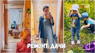 Нам привезли двери для кошек | Печник сказал, что так нельзя | Уборка  -  ВЛОГ №3622 - 05.06.25