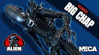 NECA Alien 40th Anniversary Ultimate Big Chap Figure | Video Review