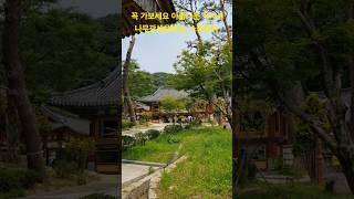#직지사 #나무관세음보살 #소원성취 #korea #travel