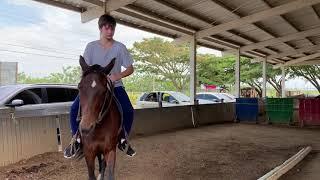 Michael and Philip riding horses 2