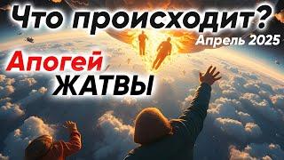 Пристегните ремни, будьте готовы! Ответы на вопросы | Группа Победа Света