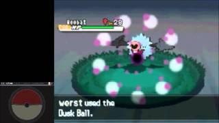 Hidden Grotto - Route 6 - Nosepass, Woobat, Foongus - Pokemon Black 2 & White 2