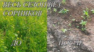 Как легко избавиться от сорняков на огороде: Простой способ