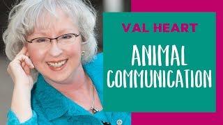 Animal Communicator, Val Heart | Animal Intelligence