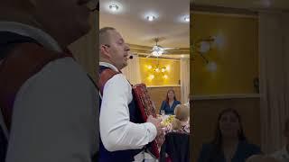 Баянист-Тамада Александр Редченко