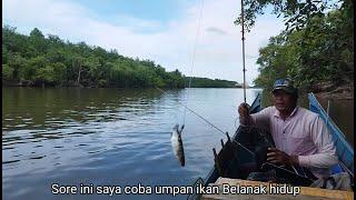 Fishing this time is only dominated by venomous cat fish