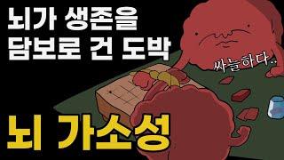 인간의 뇌는 위험한 도박을 했다 | 뇌 가소성, 뇌과학 이야기