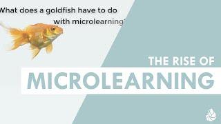 The Rise of Microlearning