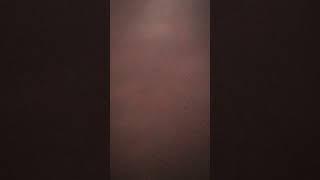 11 June 2025