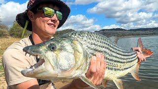 Hooked into Monster Fish in Zimbabwe  (Tiger Fish and Sharptooth Catfish)