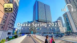 Osaka Spring 2023 South to North Long Walking Tour - Osaka Japan [4K/HDR/Binaural]