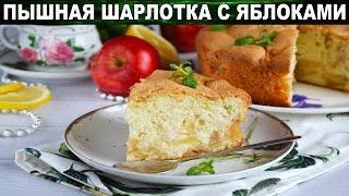 Простая шарлотка с яблоками в духовке пышная  Как испечь вкусную яблочную шарлотку