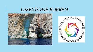 Limestone Burren By Integrated Homoeopathy