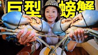 1.9kg Giant Green Crab, $250 a crab, Sri Lanka's best seafood! | Crabs | Green Mud Crab | Seafood |