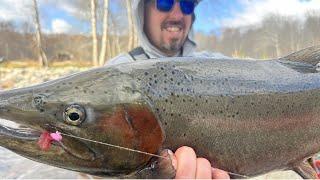 Epic Day Of Steelhead Fishing! Steelhead Float Fishing Bobber Downs Beads & Jigs / Steelhead Alley