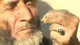 Afghan  : An Afghan man Eating scorpion