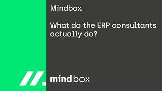 What do the ERP consultants actually do?