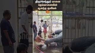 Tiruchendur Temple | Elephant - Deivanai | Forest Department | Happy Bath | Sun News