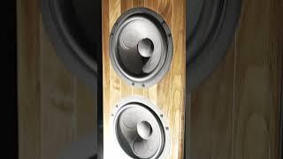 Valorem Audio's Premium Loudspeakers