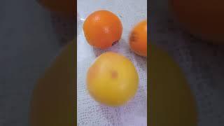 Orange and pomelo #asmr #short #fruits #orangepomelo