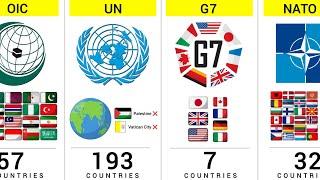 How Many Countries Share the Same Alliance Group