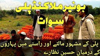 BUNER || MALAKAND || SAWAT پلی کے مشہور مالٹے اور راستے میں پہاروں کے درمیان  خسین نظارے