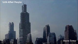 Life After People - Sears Tower