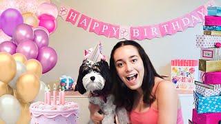 LIZZIE FAZ 1: ROTINA DA NOITE NO ANIVERSÁRIO DA NOSSA CACHORRINHA! 