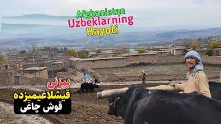 Yakkatut Navabodga Safar, Afg’onistondagi mehnatkash O'zbek dehqon bilan uchrashish || Uzbek TV