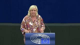 Hilde Vautmans 08 June 2022 plenary speech on European Council meeting