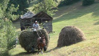 Romania, Transylvania Hay Camp 2015 Part 3