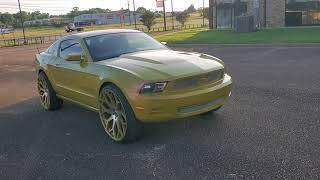 True Gritt Customs Outrageous paint job on Mustang