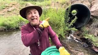 HOW TO FIND GOLD EVERYTIME IN ANY CREEK OR PLACER FIELD