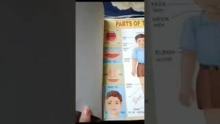 scrapbook school project ideas nursery 3+ kids #short #viral